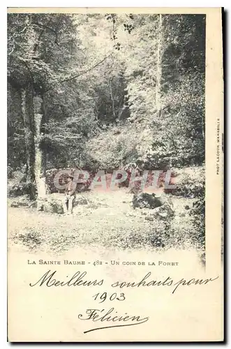 Cartes postales La Sainte Baume Un coin de la Foret