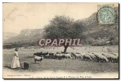 Cartes postales Chaine de la Sainte Baume et le Plateau du Plan d'Aups Moutons