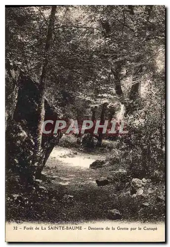 Ansichtskarte AK Foret de la Sainte Baume Descente de la Grotte par le Canape