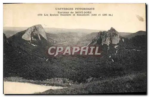 Cartes postales Environs du Mont Dore Les Roches Tuilliere et Sanadoire