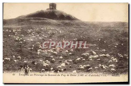 Cartes postales Troupeau au Paturage au Sommet du Puy de Dome