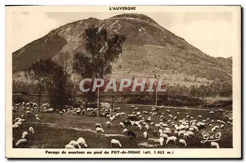 Ansichtskarte AK L'Auvergne Pacage de Moutons au pied du Puy de Dome