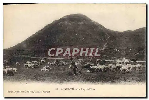 Cartes postales Auvergne Le Puy de Dome Berger Moutons