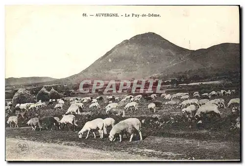 Ansichtskarte AK Auvergne Le Puy de Dome Moutons