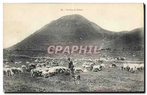 Ansichtskarte AK Le Puy de Dome Berger Moutons