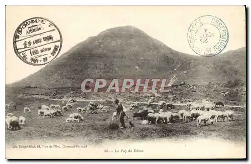 Cartes postales Le Puy de Dome Berger Moutons