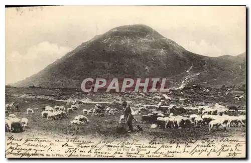 Cartes postales Le Puy de Dome Berger Moutons