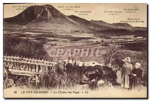 Ansichtskarte AK Le Puy de Dome La Chaine des Puys Vaches Folklore