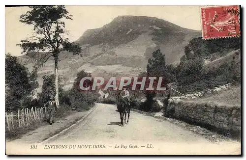 Cartes postales Environs du Mont Dore Le Puy Gros