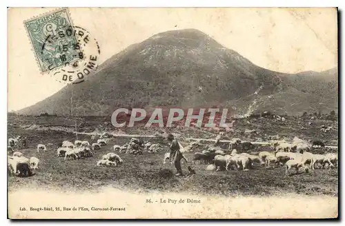 Ansichtskarte AK Le Puy de Dome Berger et moutons