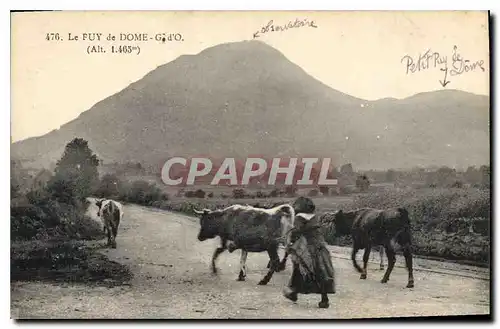 Ansichtskarte AK Le Puy de Dome Vaches