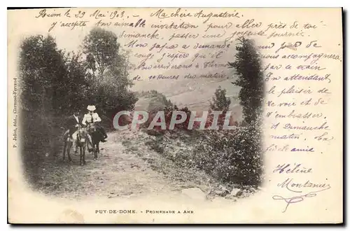 Cartes postales Puy de Dome Promenade Ane Mule
