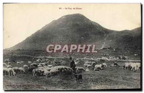 Ansichtskarte AK Le Puy de Dome Berger Moutons