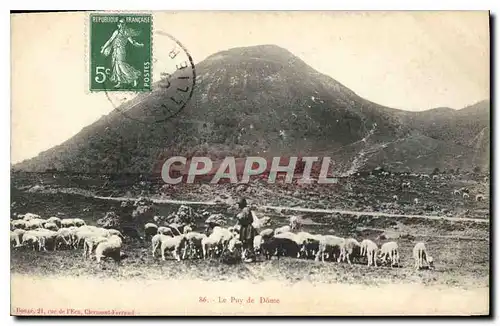 Cartes postales Le Puy de Dome Berger Moutons