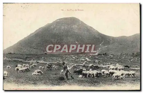 Cartes postales Le Puy de Dome Berger Moutons