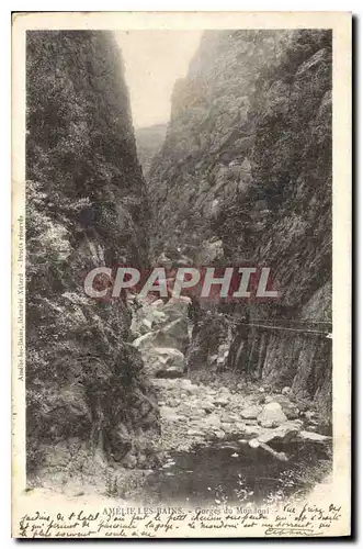 Ansichtskarte AK Amelie les Bains Gorges du Mondony