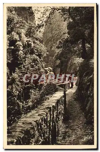 Cartes postales Amelie les Bains PO Gorges du Mondony