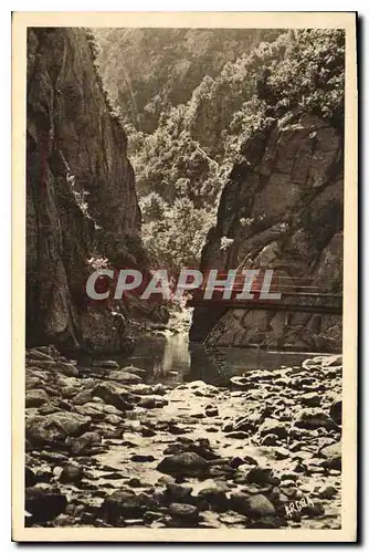 Ansichtskarte AK Amelie les Bains PO Gorges du Mondony