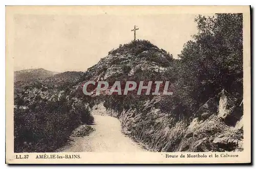 Cartes postales Amelie les Bains Route de Montbolo et le Calvaire