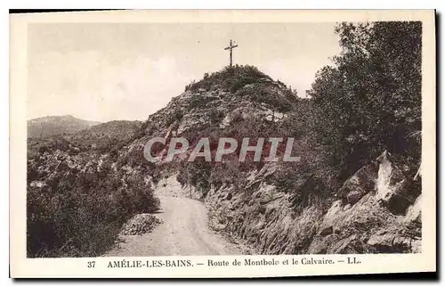 Cartes postales Amelie les Bains Route de Montbolo et le Calvaire