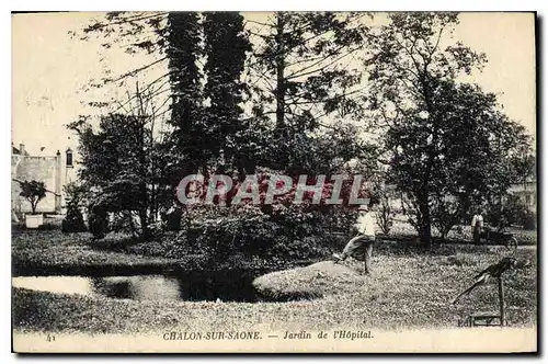 Cartes postales Chalon sur Saone Jardin de l'Hopital Perroquet