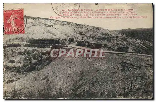Cartes postales La Bataille de Verdun Le bois et le ravin de la caillette