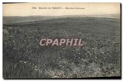 Ansichtskarte AK Bataille de Verdun Bois des Corbeaux