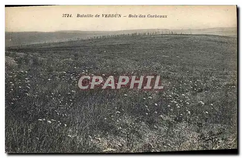 Cartes postales Bataille de Verdun Bois des Corbeaux