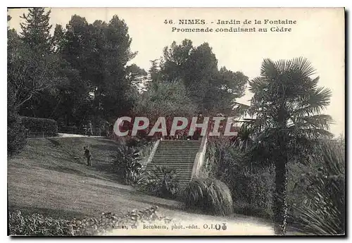 Ansichtskarte AK Nimes Jardin de la Fontaine Promenade conduisant au Cedre