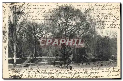 Cartes postales Le Bois de Boulogne en Automne