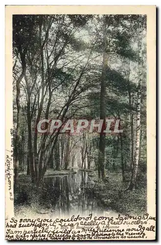 Cartes postales Le Bois de Boulogne en Automne