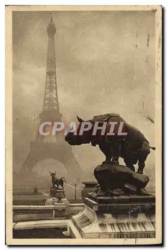 Ansichtskarte AK Paris en Flanant la Tour Eiffel vue des Jardins du Trocadero Rhinoceros