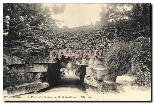 Ansichtskarte AK Paris Le Parc Montsouris le Pont Rustique