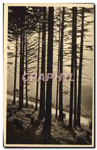Cartes postales La Douce France Sous Bois dans les Vosges