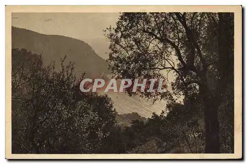 Cartes postales Corniche des Maures