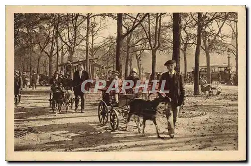 Ansichtskarte AK Les Petits Tableaux de Paris Aux Champs Elyses les voitures aux Chevres