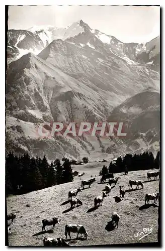 Ansichtskarte AK Les Belles Alpes Francaises Paysages Alpestres Paturage