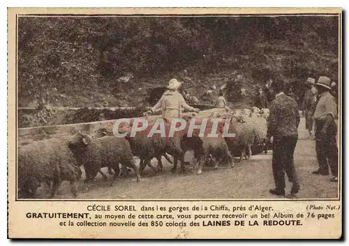 Ansichtskarte AK Cecile Sorel dans les gorges de la Chiffa