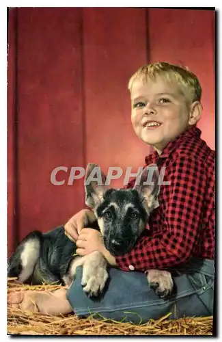 Cartes postales Enfant Chien