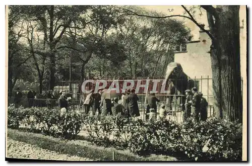 Ansichtskarte AK Lyon Parc de la Tete d'Or Le Jardin Zoologique Elephant