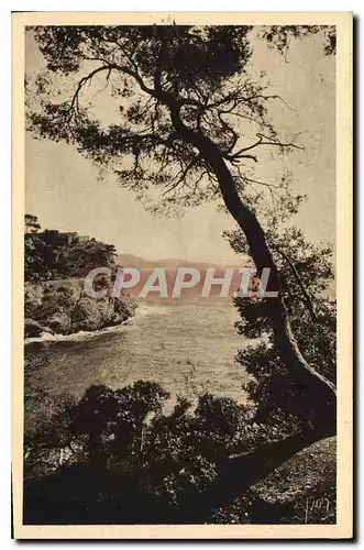 Cartes postales Cote d'Azur Toulon Var Vue sur le Cap Brun