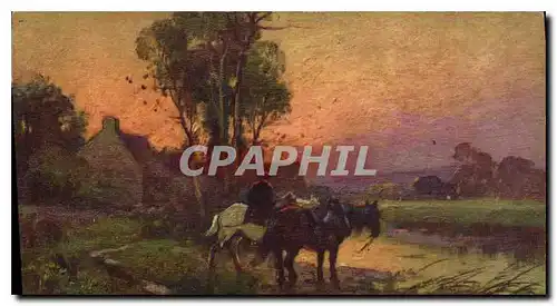 Cartes postales Cheval