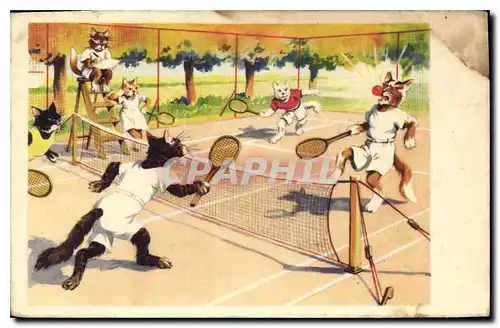 Cartes postales Tennis Chats