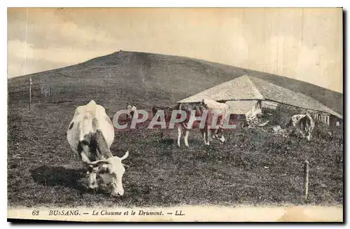 Ansichtskarte AK Bussang le Chaume et le Drumont Vaches