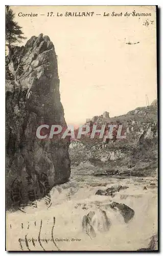 Cartes postales Le Saillant Le saut du saumon