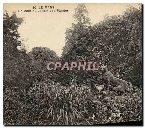 Ansichtskarte AK Le Mans Un coin du Jardin des Plantes