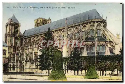 Cartes postales Bourges La Cathedrale vue prise du Jardin de l'Hotel de Ville