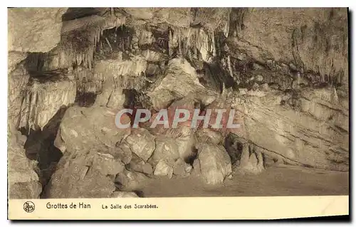 Cartes postales Grottes de Han La Salle des Scarabees