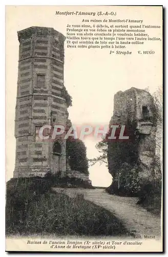 Cartes postales Montfort l'Amaury S & O Aux Ruines de Montfort l'Amaury