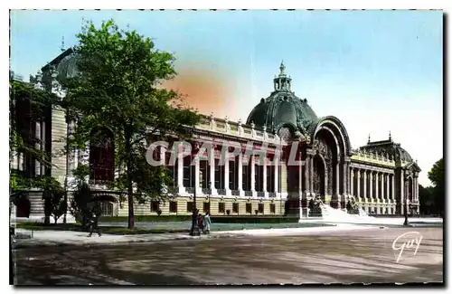 Cartes postales Paris Le petit Palais